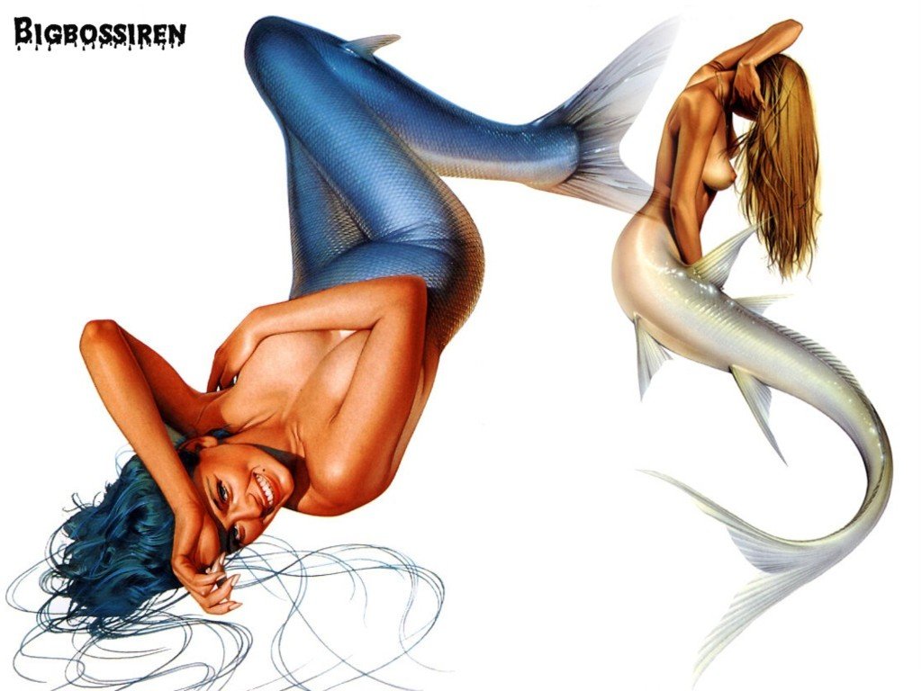 BigBoss - Siren 2